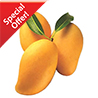 Deluxe Alphonso Mangoes � 2 Dozen